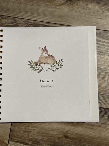 Ziri And Zane Keepsake Baby Memory Book The Story Of You, The First Five Years . - Picture 7 of 9