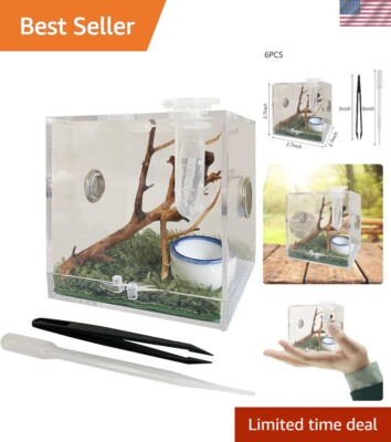 Secure Jumping Spider Enclosure with Convenient Feeding Hole - Complete Set