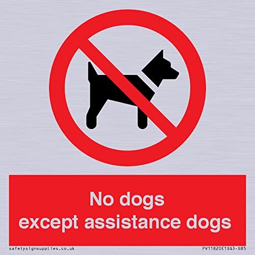 Cartello "No dogs except assistance dog", 85 x 85 mm, S85