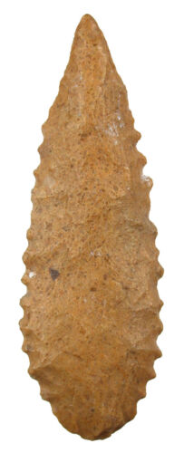 Neolithikum  Ausgezeichnete gezähnte Pfeilspitze aus der Tenere in Niger  3713 - Bild 1 von 2