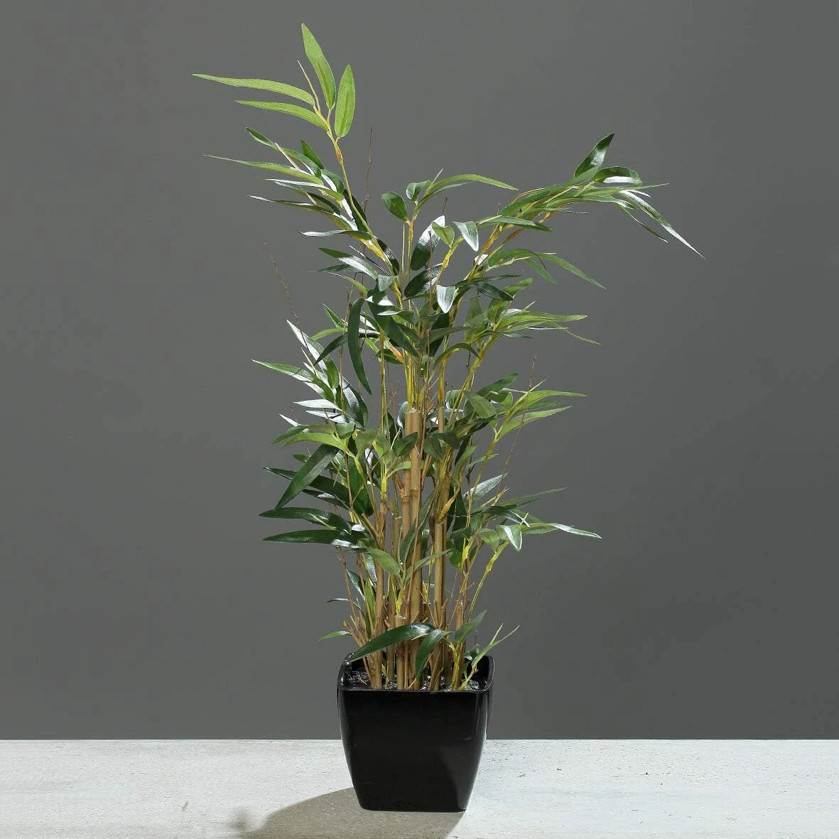 Knstlicher Bambus online kaufen | eBay.de