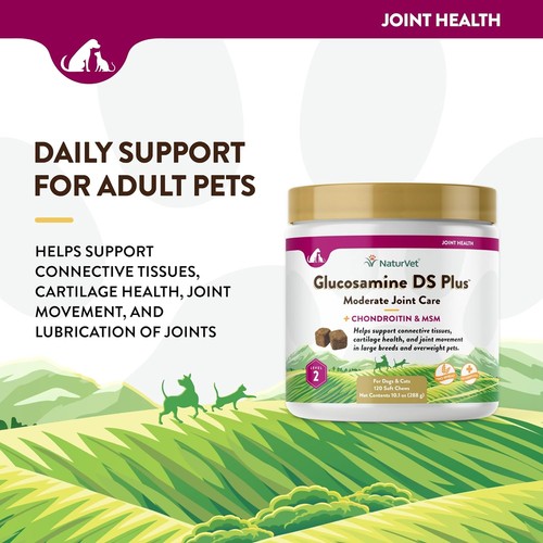 NaturVet GLUCOSAMINE - DS Plus MSM and Chondroitin Soft Chews for Dogs 120 COUNT