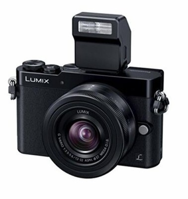 Panasonic DMW-FL70 フラッシュライト L-01 s-l400.jpg