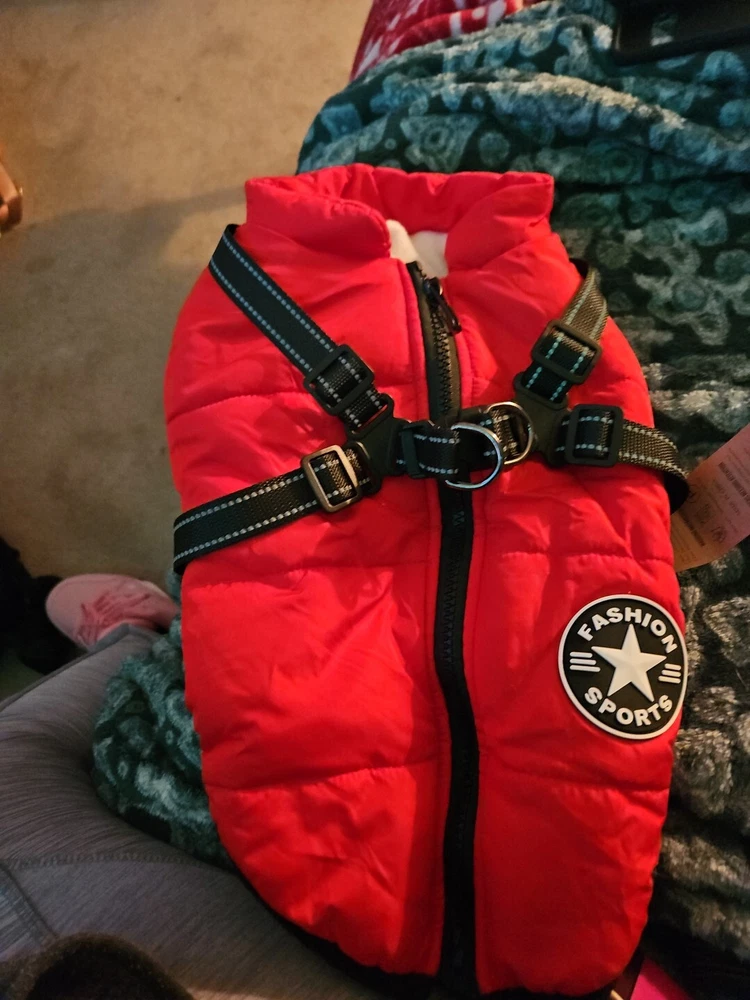dog harness small