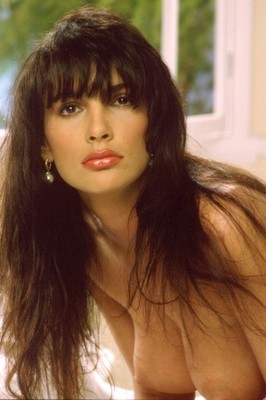 Julie Strain (Vol 1) 4,300 Pictures Collection DVD (Photos/Images)