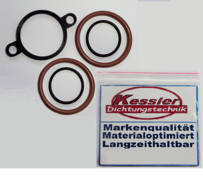 BMW Vanos N42 N46 Motor Dichtsatz für Stellmotor 11377501015 und 2 Magnetventile