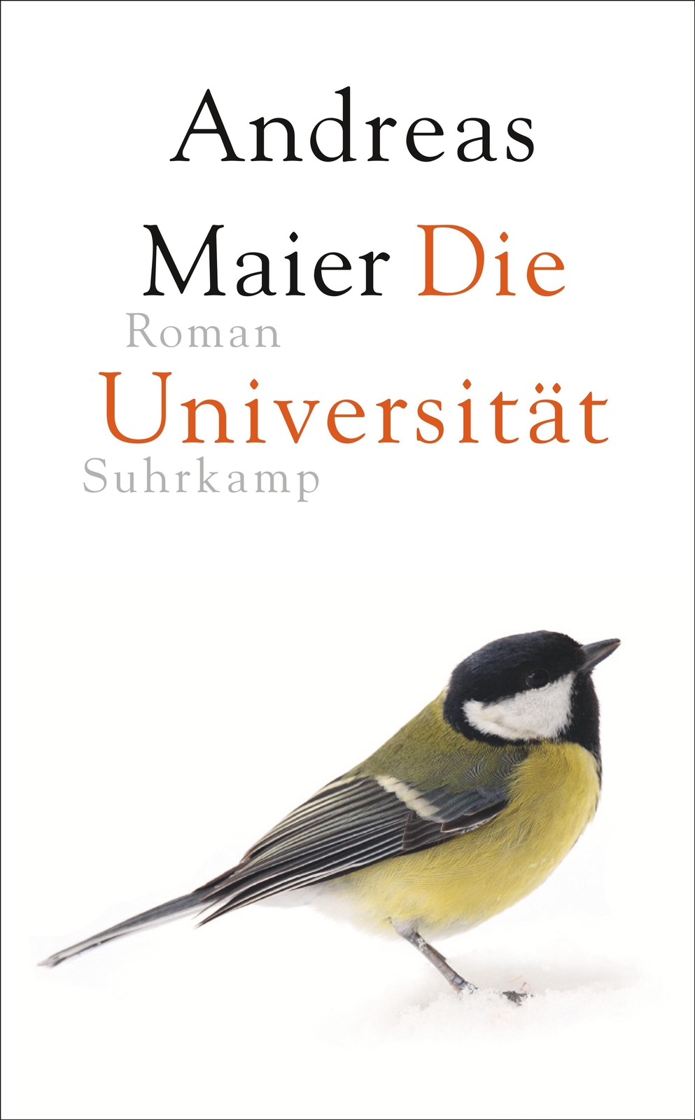 Thumbnail - Andreas Maier / Die Universität / 9783518470633