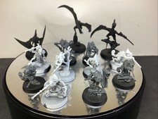 Warhammer AoS/Warcry Seraphon Hunters of Huanchi built some paint BD22218