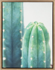 Sylvie Cactus Framed Canvas Wall Art by F2 Images, 18X24 Gold