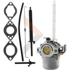 Briggs u. Stratton VERGASER  | 796122 | 02484...