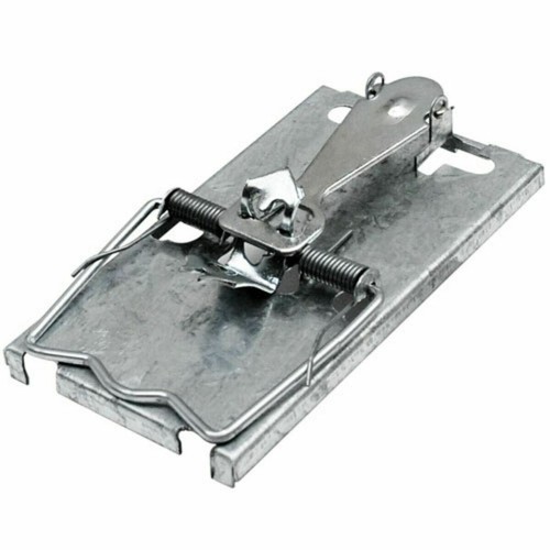 1 x STV Self Set Mouse Trap (STV160) eBay