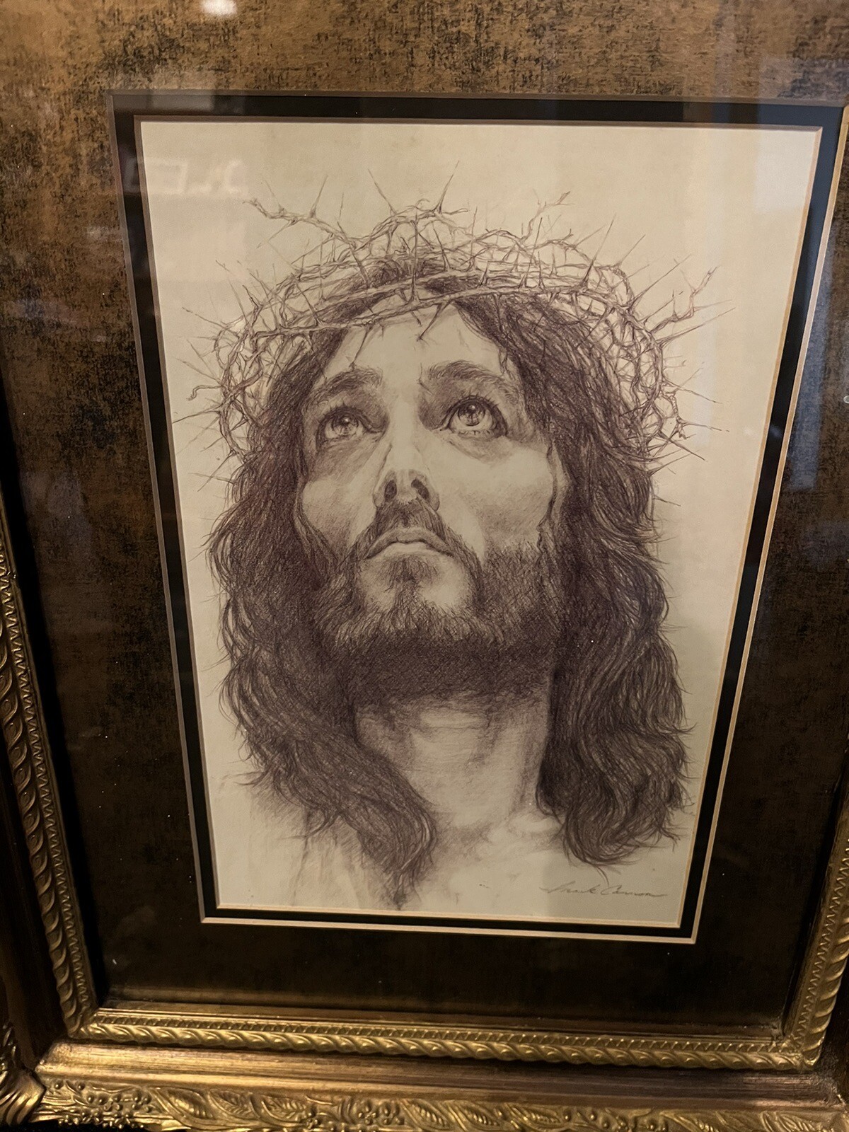 Crown Of Thorns Framed Print eBay