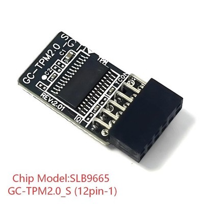 GC-TPM2.0_S 12pin-1 Module SLB9665 For GIGABYTE Z390 UD (rev. 1.1)  AORUS PR goy