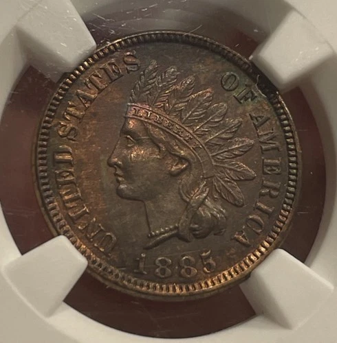 1885 Indian Head Penny 1C PCGS Genuine Unc Details
