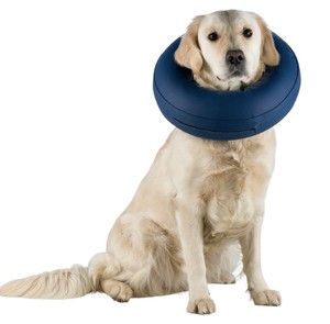 inflatable donut collar