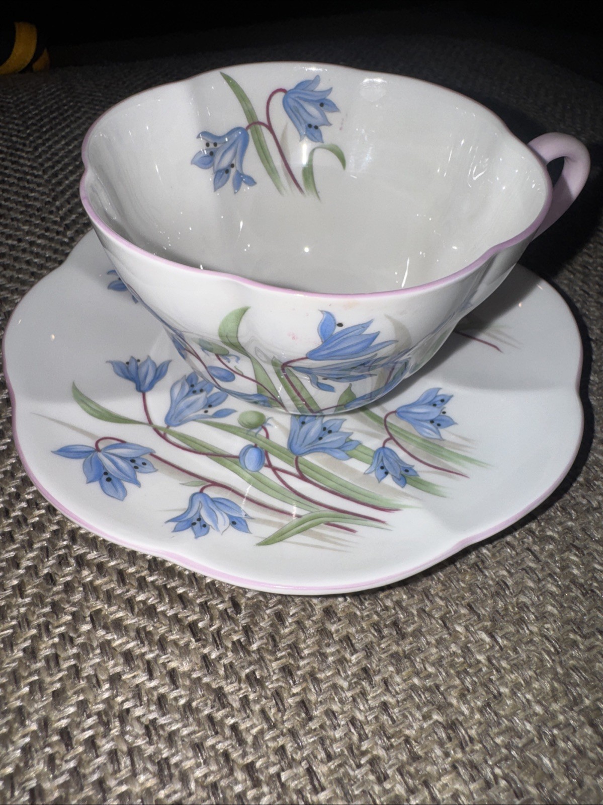 Shelley China Tea Cup And Saucer Scilla Pattern