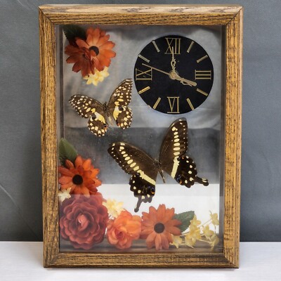 Wood Framed Taxidermy Papilo Butterfly Boho Floral Mirror Accent Clock **READ**