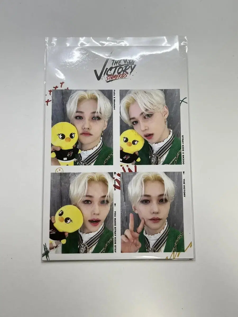 Stray Kids Felix Ski Zoo Four Cut | eBay