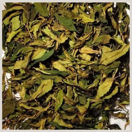 Tea Leaves Dehydrated 100% Pure Fresh Dried Herbal Organic Natural ...