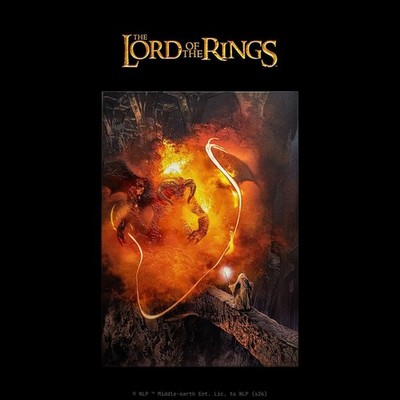 Displate Limited Edition - You Shall Not Pass - Herr der Ringe - LOTR - Neu&OVP