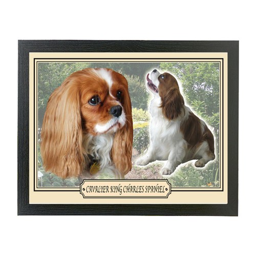 Auswahl Hunderasse Kissen Laptop Runde Abendessen Tablett Geschenk Jack Russell Labrador - Bild 33 von 116