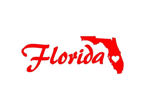 Florida vinyl decals FL State laptop car - Picture 3 of 9