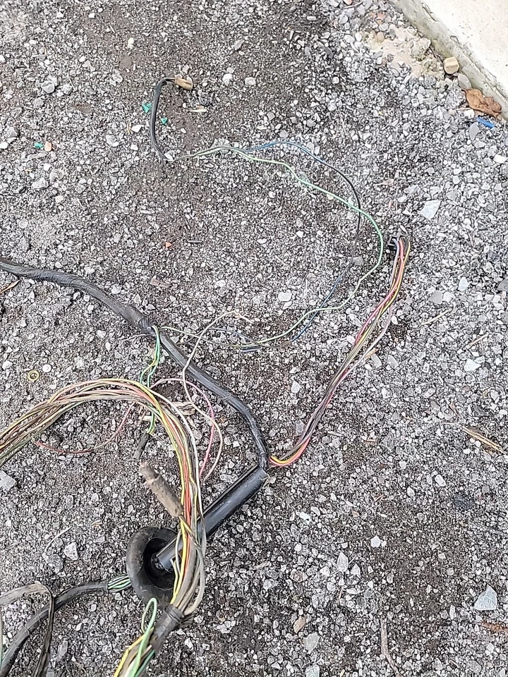 Arnés de tablero interior Ford F100 F150 F250 F350 1973-1977 con caja de fusibles Foto 3 de 4