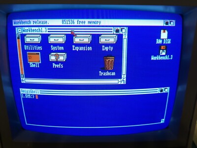 Amiga Workbench v1.3 Boot Disk A500 A2000 1.3 on DD 3.5