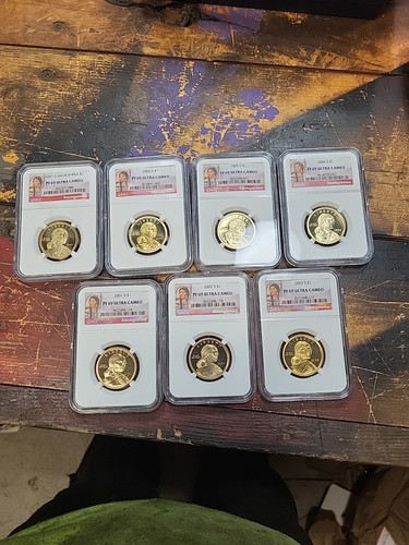 2001-2007 Sacagawea Dollars - Picture 1 of 13