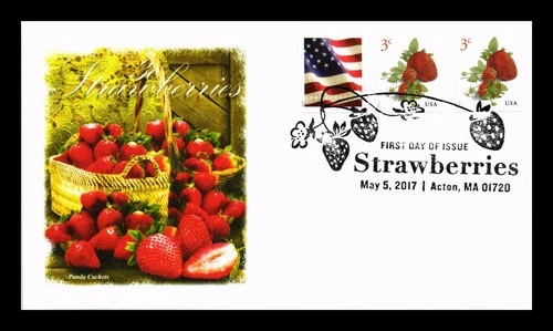 US COVER STRAWBERRIES FIRST DAY ISSUE COMBO PANDA CACHET