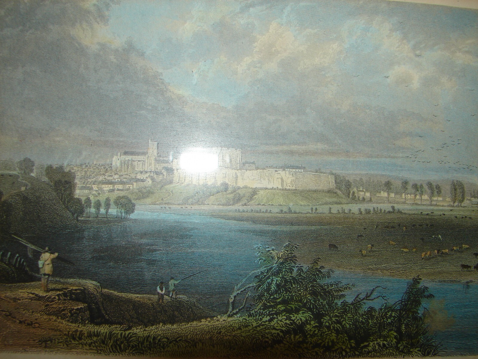Picture 7 of 8