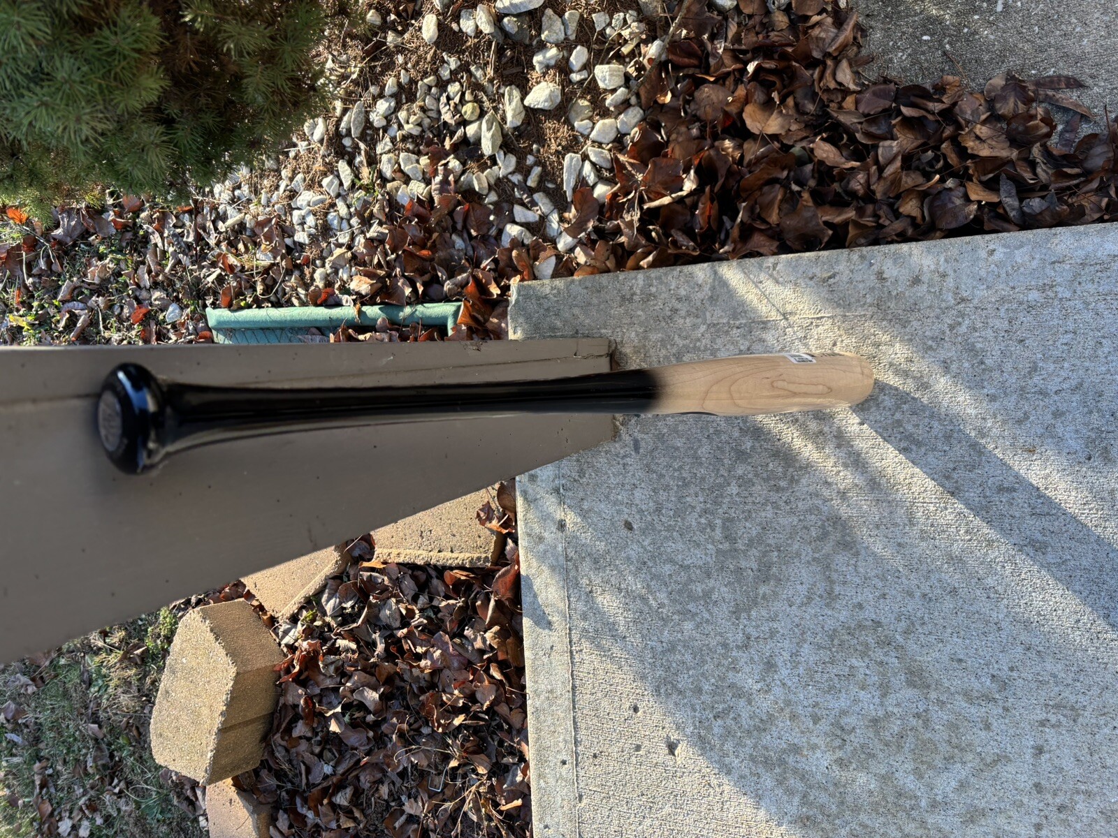 Picture 6 of 6