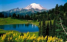 Landscape mountains creeks nature trees mount rainier Custom Gaming Mat Desk