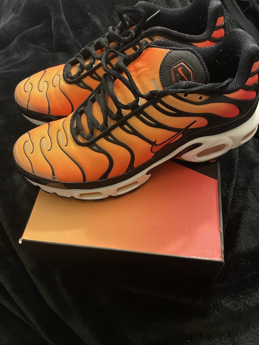 Size Nike Air Max TN 360 Tiger