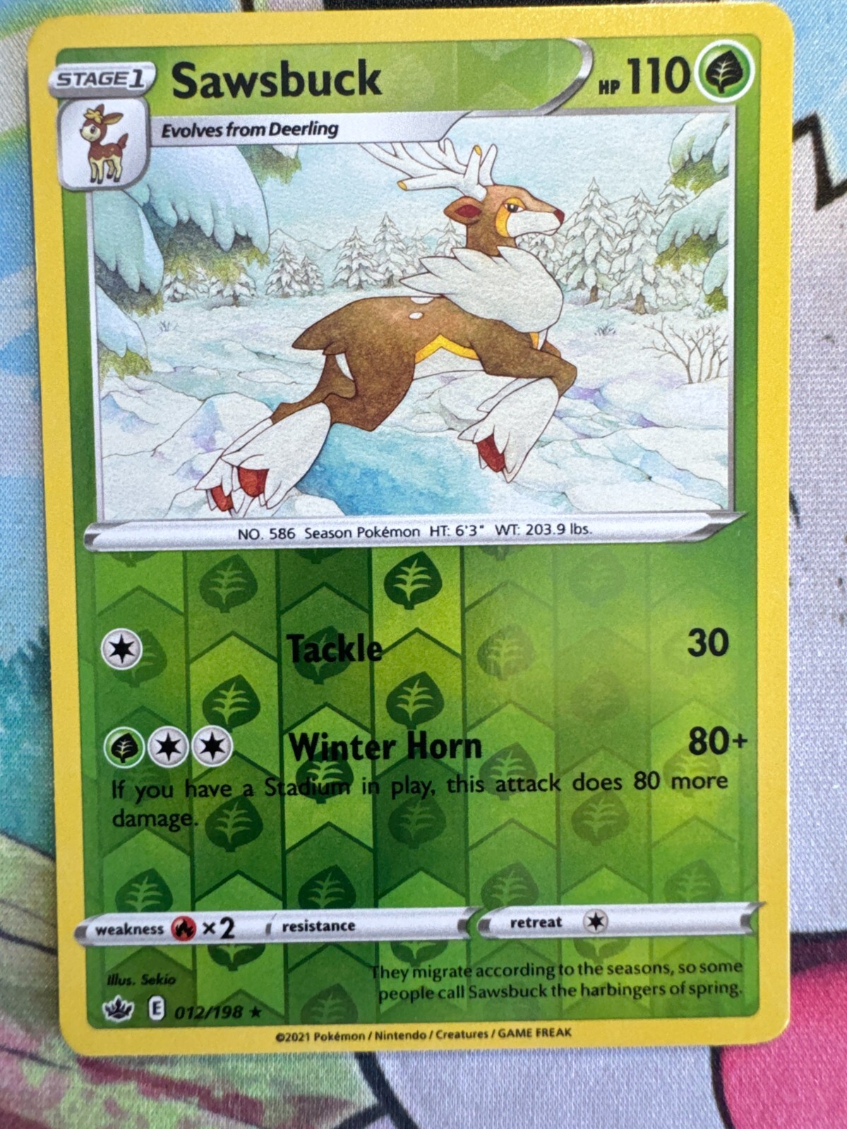 Picture 1 of 1