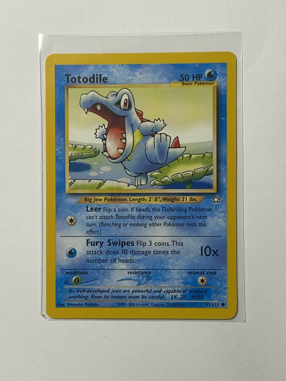 Totodile Neo Genesis Near mint English  81/111