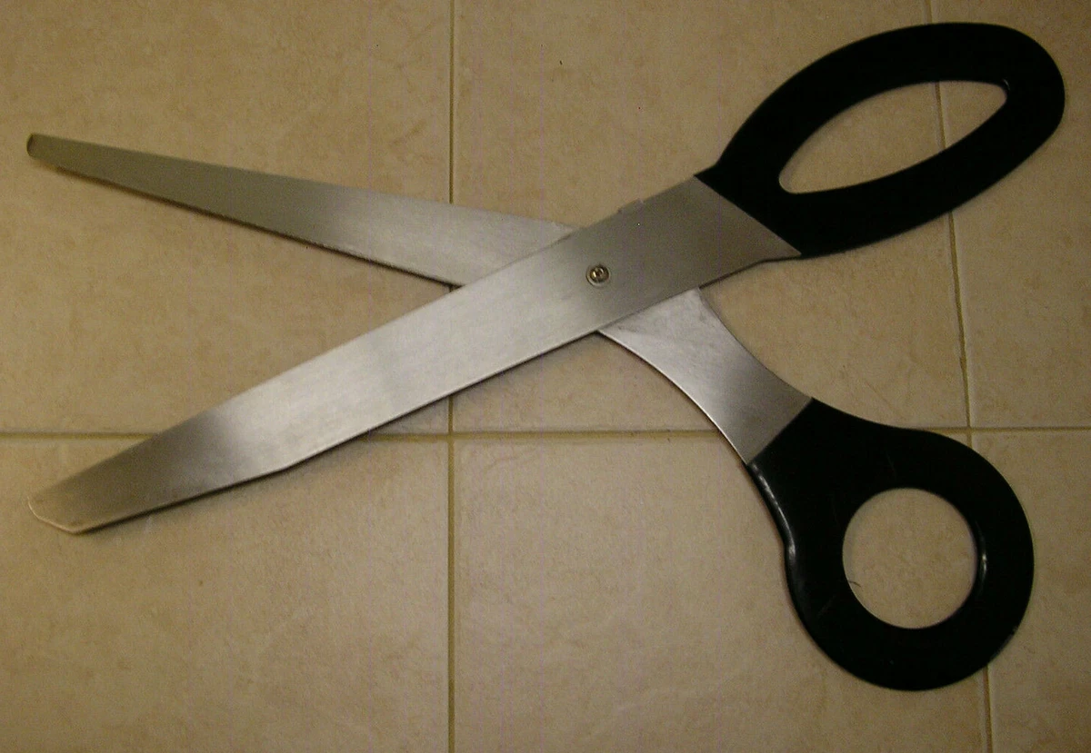 Big scissors sale