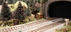 Picture 9 of 9