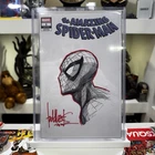The Amazing Spider-Man #1 Original Sketch Cover by Todd Beats!!!