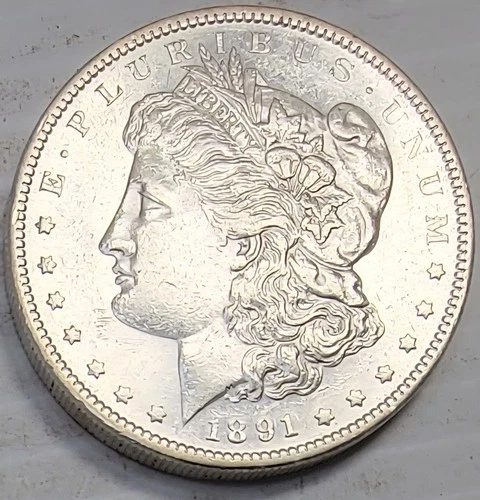 1891-S MORGAN SILVER DOLLAR IN A CURCULATED CONDITION - GOOD DETAILS - FEATHERS
