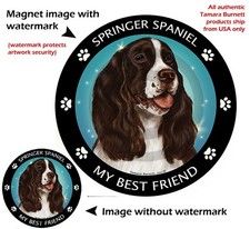 Springer Spaniel My Best Friend Dog Car Magnet