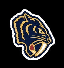 NASHVILLE PREDATORS  Logo Sticker  Puck Stickers Car  NHL Hockey Decal Ice