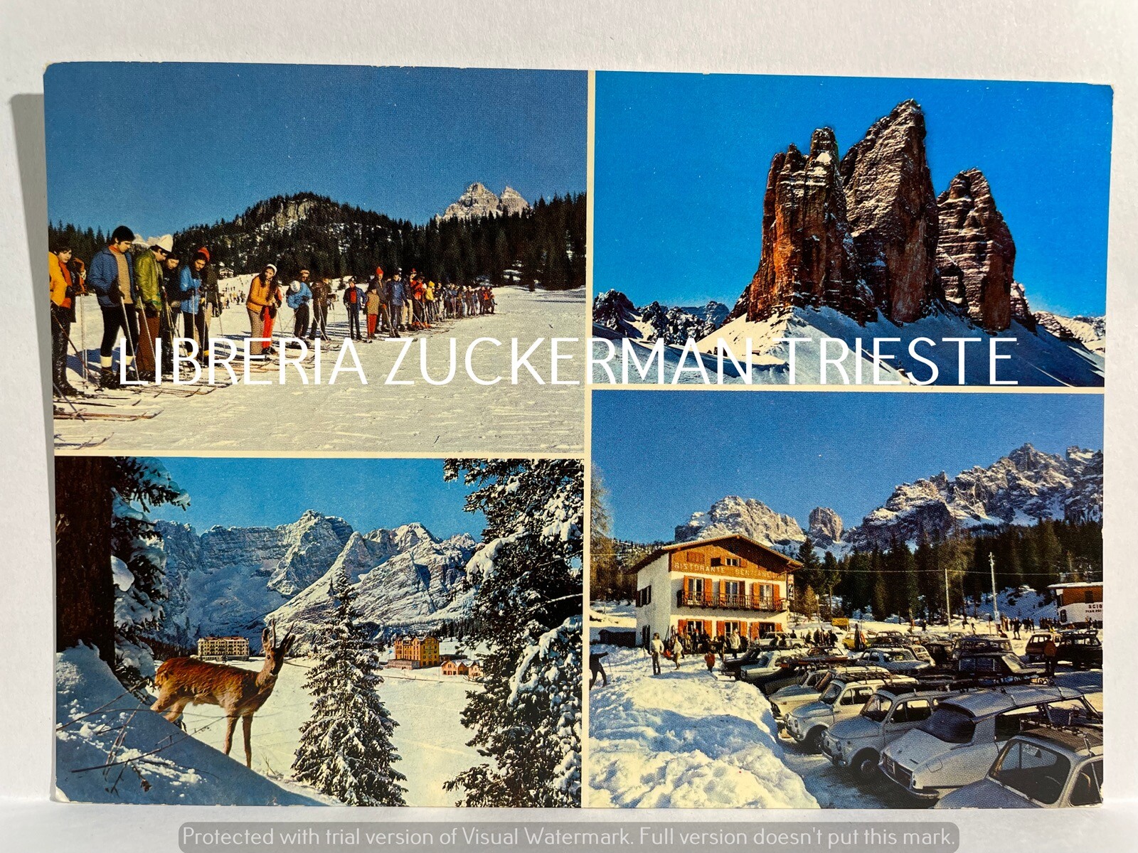 Bild 1 von 2