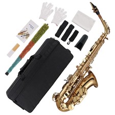 Eb Alto Saxophone Brass Lacquered Gold E Flat Sax 875 Key Type Woodwind Full Set