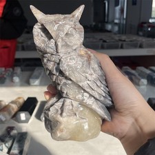 2.4LB 6.5" Natural Mexican Agate Owl Carved Crystal Mineral Statue Quartz Gift