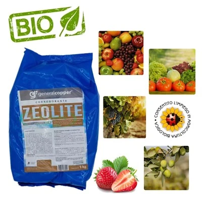 GENERAL COPPER Zeolite Cubana Polvere Micronizzata Insetticida Fungicida Difesa Piante 1 kg BIO