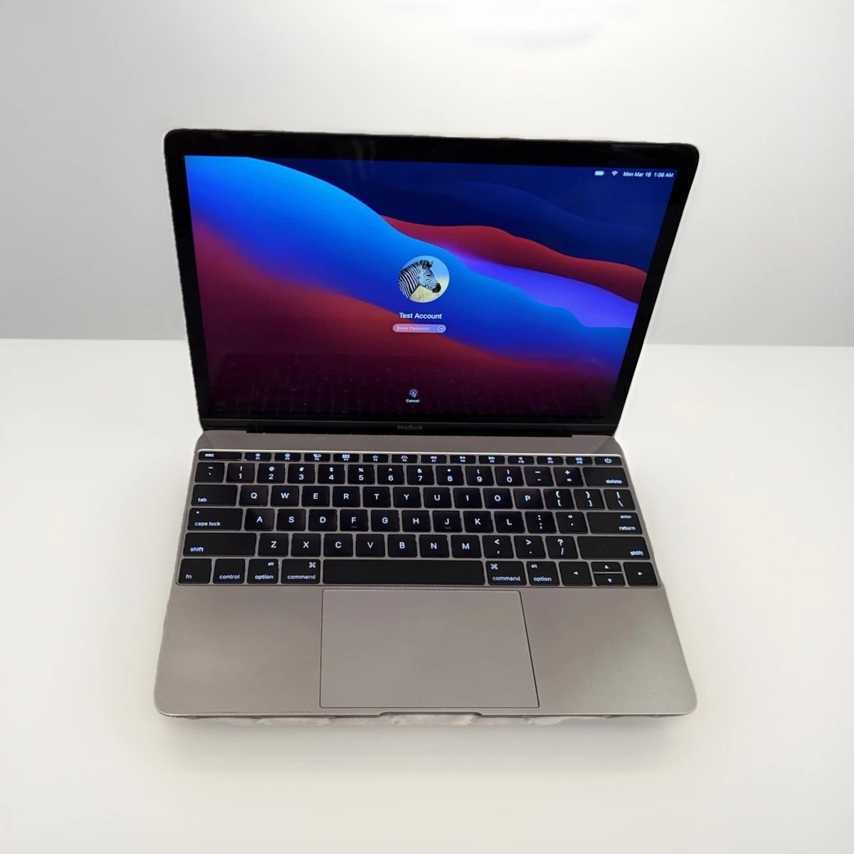 MacBook 12インチ Early 2015 シルバー 8GB 256GB Apple MacBook MacBook 12インチ Early 2015 シルバー 8GB 256GB Apple MacBook