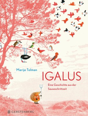 Igalus | Eine Geschichte aus der Sauseschrittzeit | Marije Tolman | Buch | 32 S.