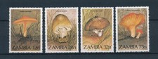 51191 Zambia 1984 Mushrooms pilze  MNH
