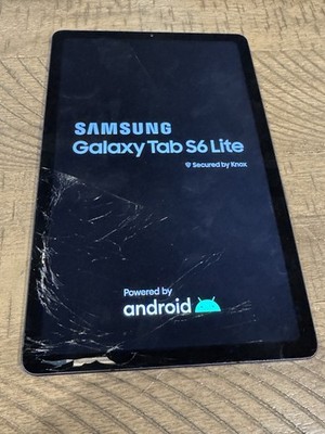 Samsung Galaxy Tab S6 Lite - 64GB - WiFi + Cellular - Oxford Gray - Good